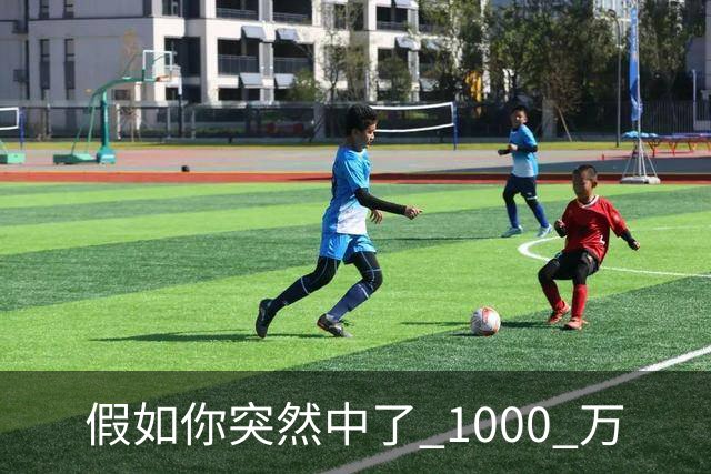 假如你突然中了 1000 万